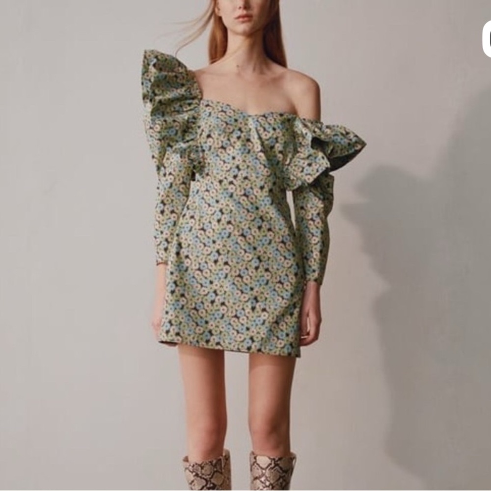 Zara Poplin Daisy Dress